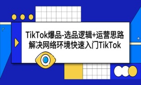 《TikTok爆品选品逻辑+运营思路》解决网络环境快速入门TikTok